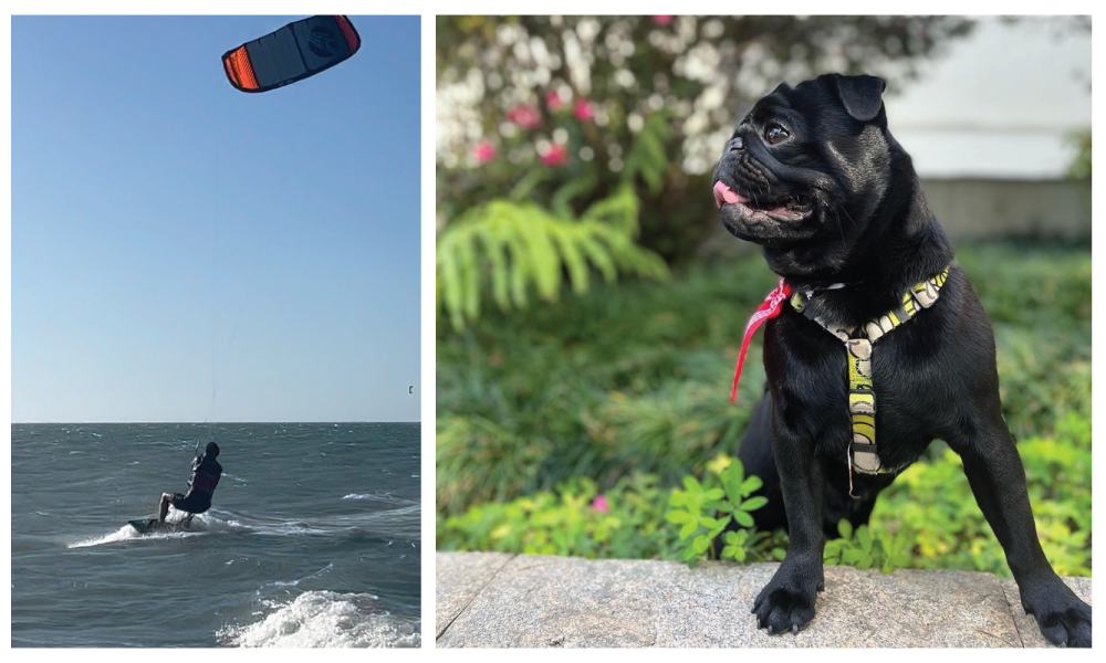 Bernardo-Rabelo-collage-kitesurfing-Dudu-the-dog